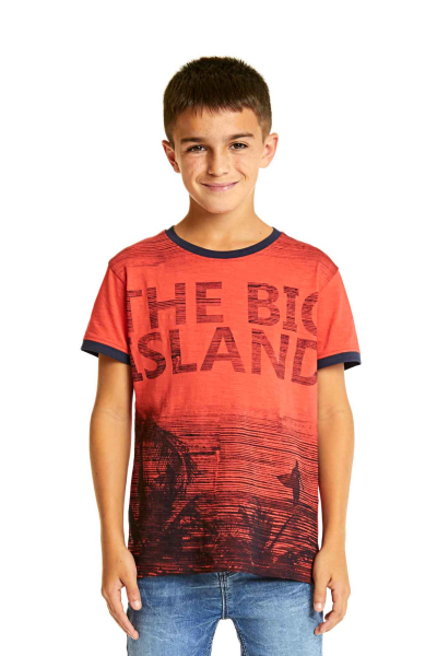 Camiseta manga corta chico "the big island" sandía LOSAN